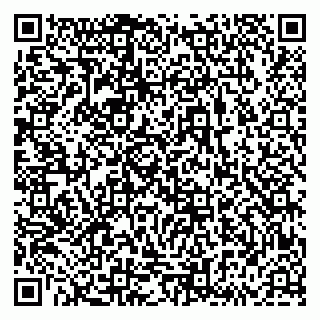 vCard 79833538203