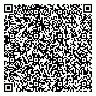 vCard 79833538209