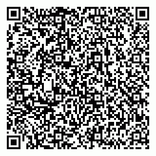 vCard 79833538221