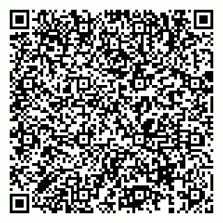vCard 79833538247