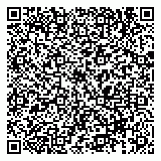 vCard 79833538271