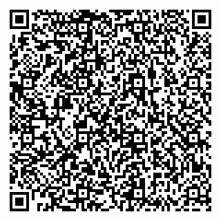 vCard 79833538285