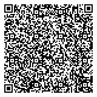 vCard 79833538295