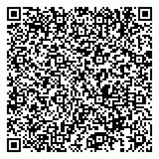 vCard 79833538304