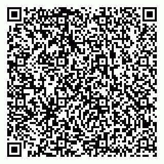 vCard 79833538313