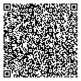 vCard 79833538331