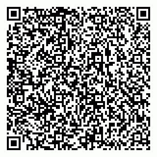 vCard 79833538380