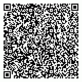 vCard 79833538381
