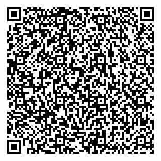 vCard 79833538385