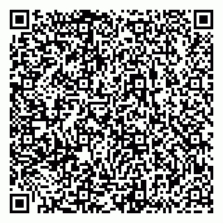 vCard 79833538388