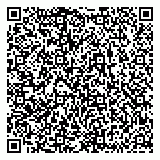 vCard 79833538513