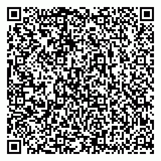 vCard 79833538525