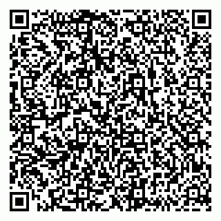 vCard 79833538621