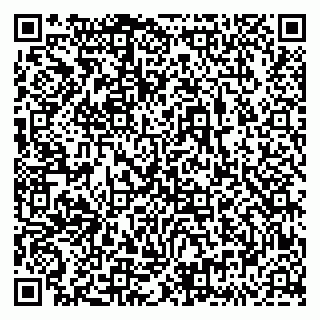 vCard 79833538679