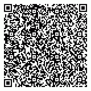 vCard 79833540020