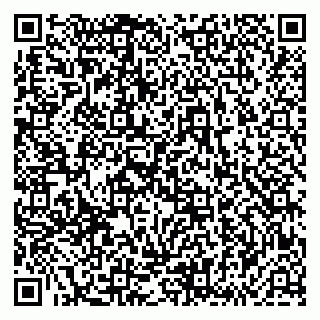 vCard 79833540128