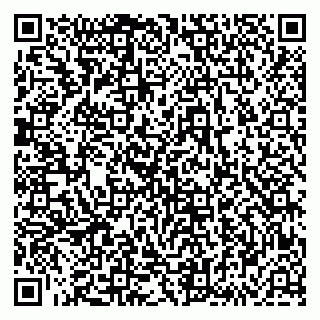 vCard 79833541719