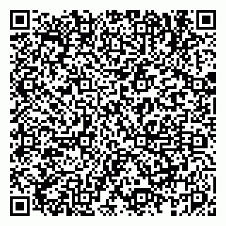 vCard 79833541808