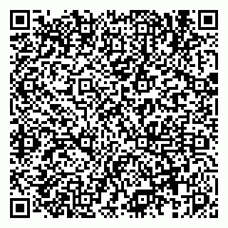 vCard 79833541913