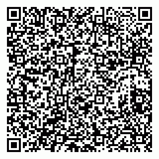 vCard 79833541919
