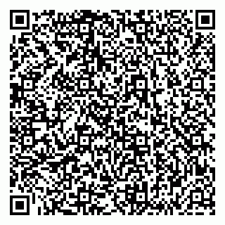 vCard 79833541999