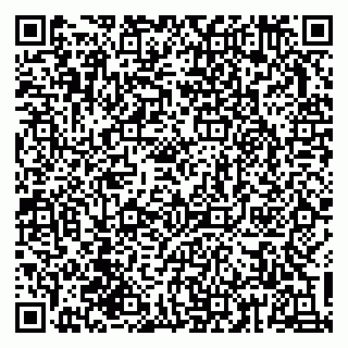 vCard 79833748021