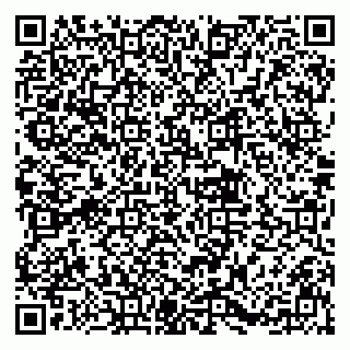 vCard 79833748103
