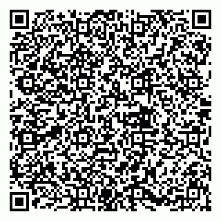 vCard 79833748128