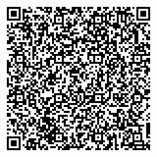 vCard 79833748130