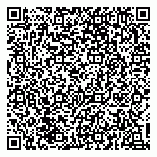 vCard 79833748155