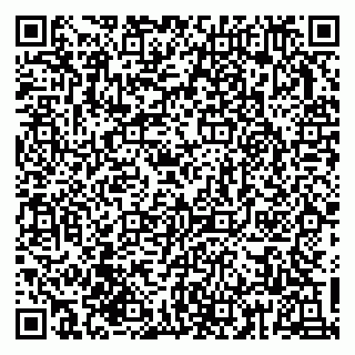 vCard 79833748324