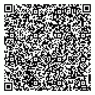 vCard 79833749400