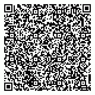 vCard 79833749417