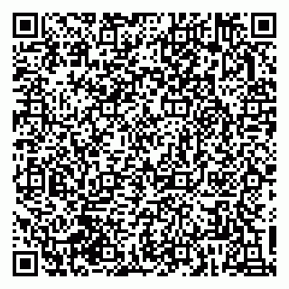 vCard 79833750313