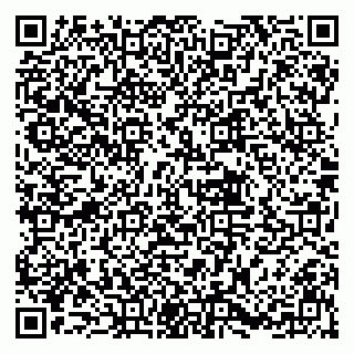 vCard 79833751729