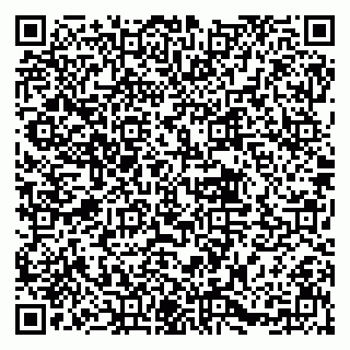 vCard 79833751744