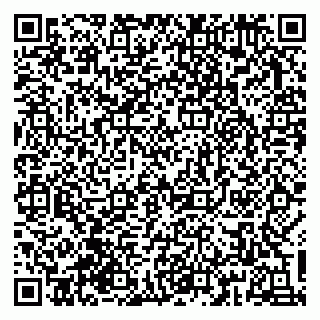 vCard 79833751809