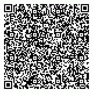 vCard 79834180533