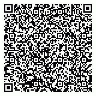 vCard 79835580331