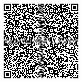 vCard 79835580384