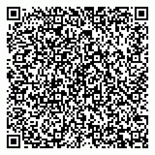 vCard 79836100333