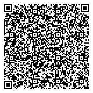 vCard 79836959203