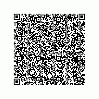 vCard 79841003133