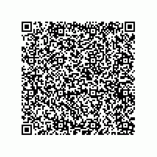 vCard 79841003138