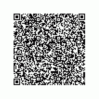 vCard 79841003833
