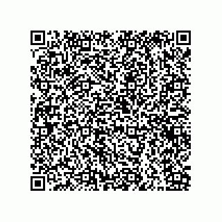 vCard 79841003930