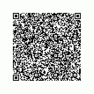vCard 79841003935