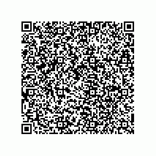 vCard 79841005379