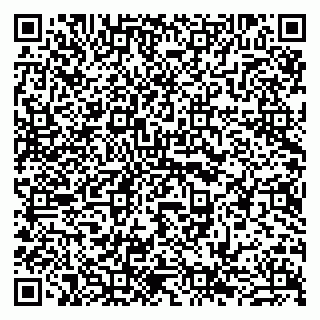 vCard 79841745333
