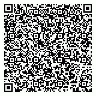 vCard 79841745472
